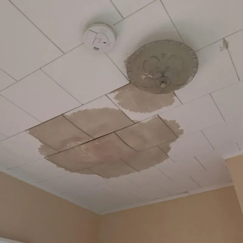 Ceiling Water Damage Repair in Etowah, TN