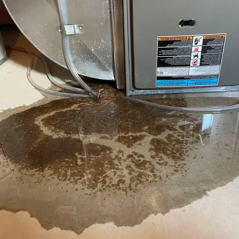 Pipe Burst and Leak Restoration in Etowah, TN
