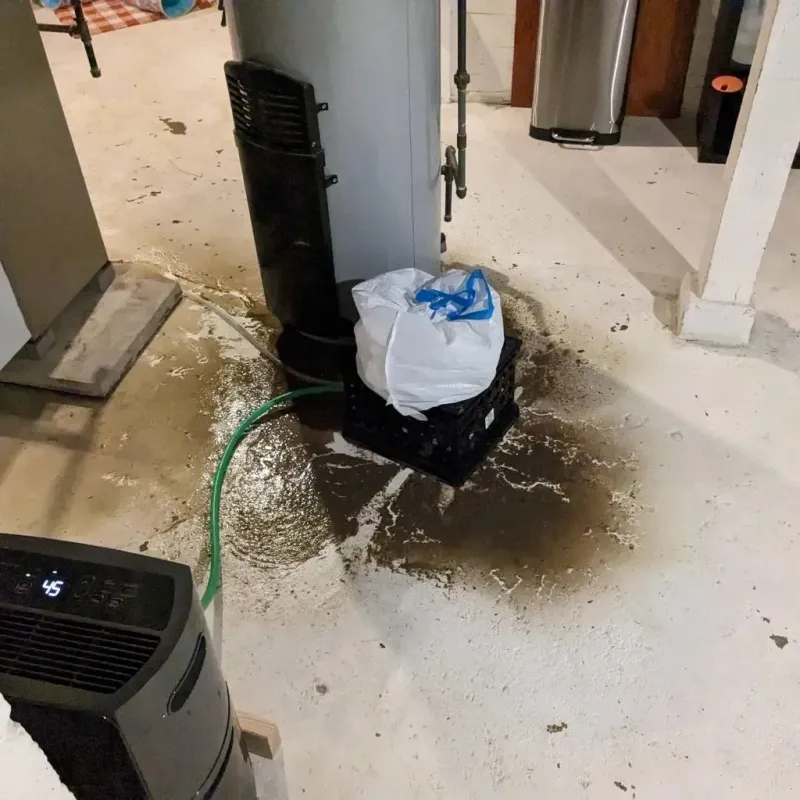 Sewage Backup Cleanup Service in Etowah, TN